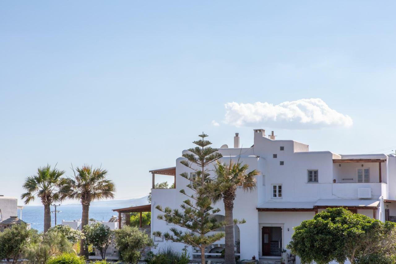 Thea Suites Naxos Ájosz Prokópiosz Kültér fotó